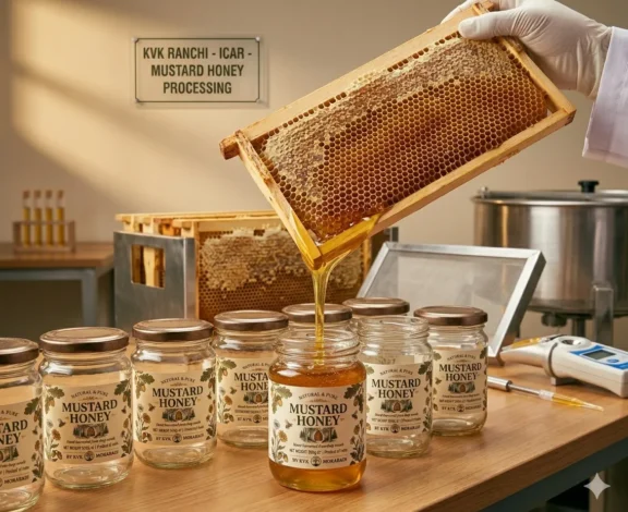 Proper honey processing is essential for maintaining purity, taste, and nutritional value. However, many beginners make avoidable mistakes that reduce honey quality.