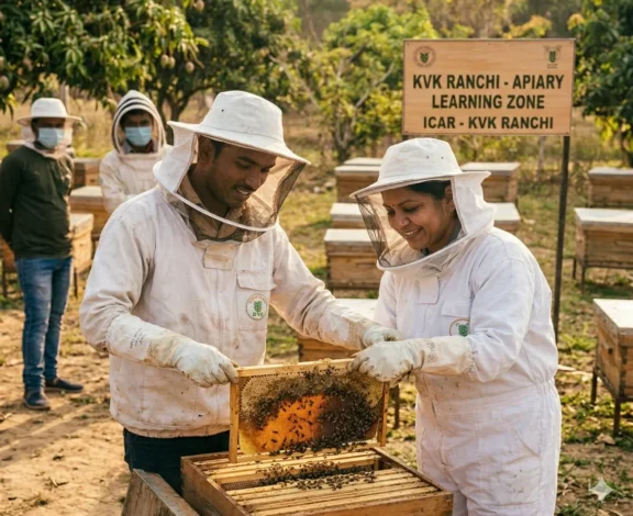 Beekeeping is becoming one of the fastest-growing agricultural opportunities for rural and urban farmers alike. With proper training, honey bee farming can provide additional income, support crop pollination, and promote sustainable agriculture.