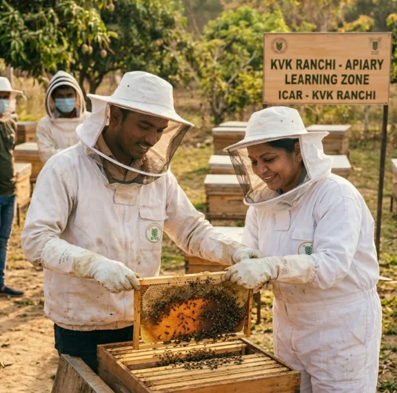 Beekeeping is becoming one of the fastest-growing agricultural opportunities for rural and urban farmers alike. With proper training, honey bee farming can provide additional income, support crop pollination, and promote sustainable agriculture.