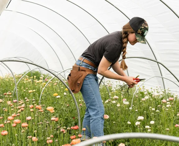 There are many variations of passages of Lorem Ipsum available, but majority have suffered teration in some form, by injected humour, or randomised words which don't look even slight believable. If you are going to use a passage of Lorem Ipsum.