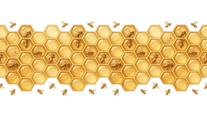 Divyayan KVK Honey
